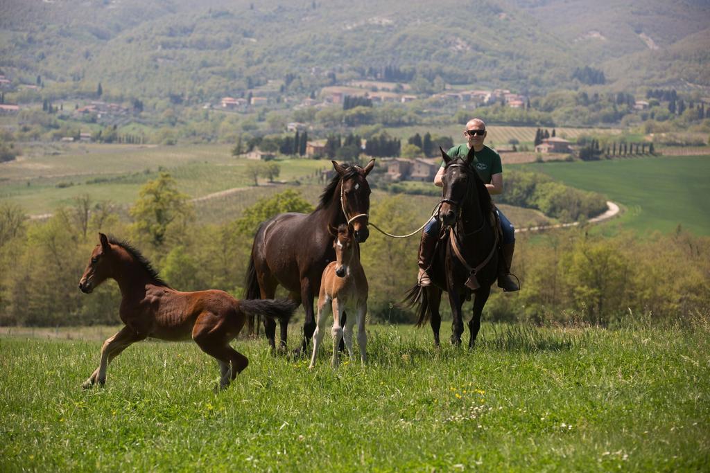 Poggiovalle Tenuta Italiana Citta della Pieve Luaran gambar